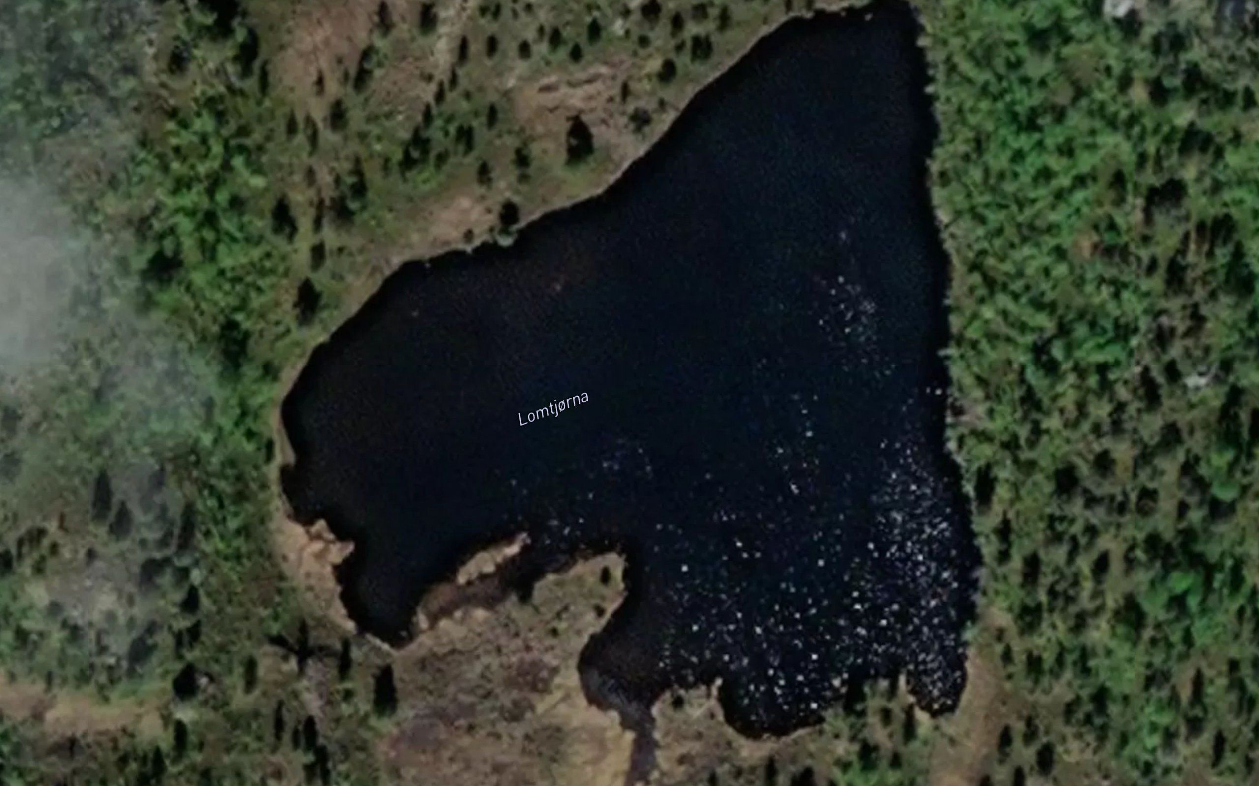 Lomtjorna