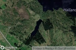 Svartetjorna