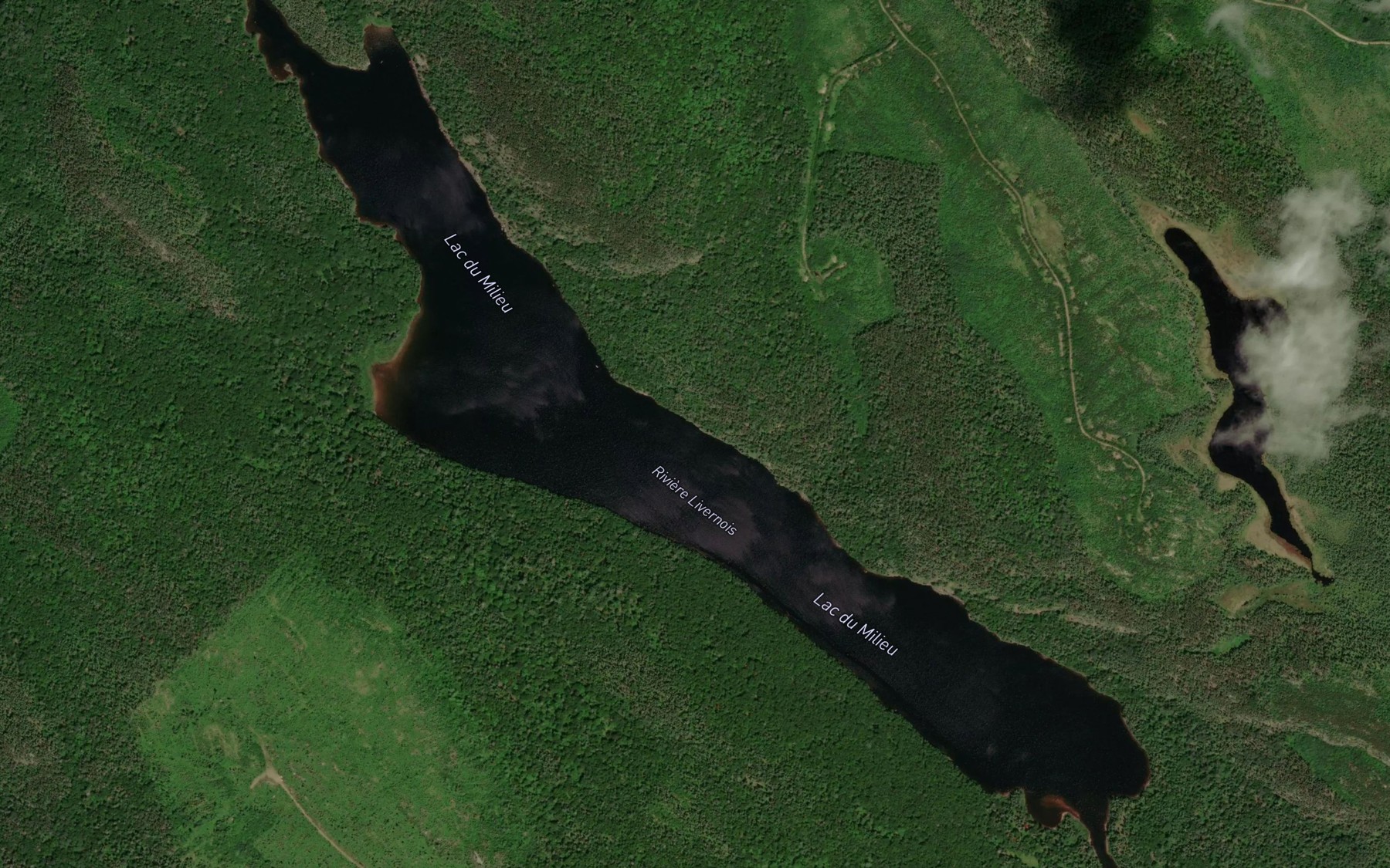 Satellite map of the Lac du Milieu