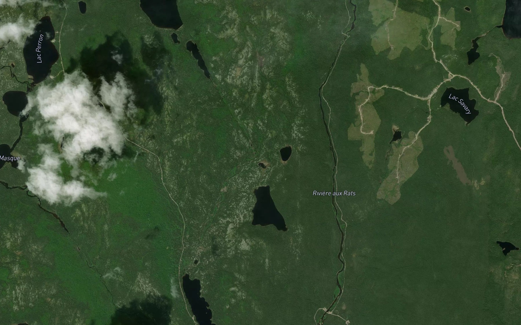 Satellite map of the Lac Pineau