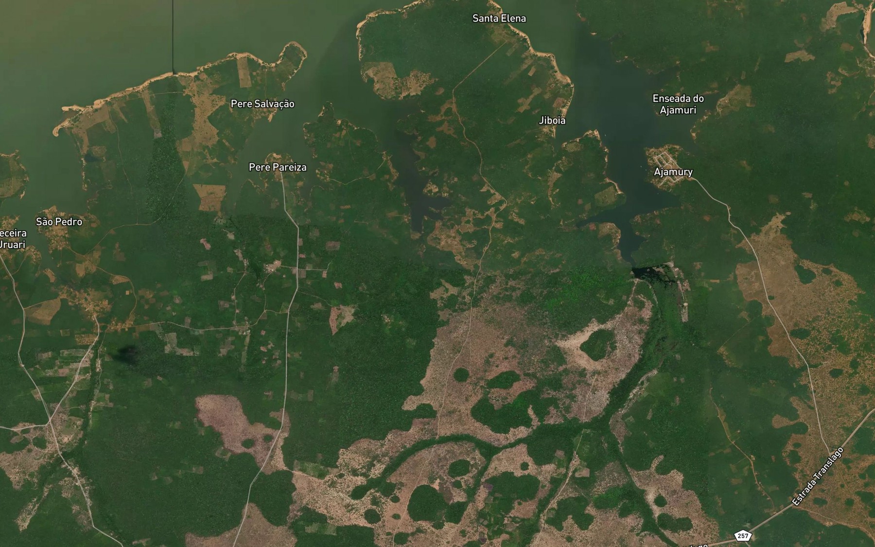 Satellite map of the Rio Aracoepina