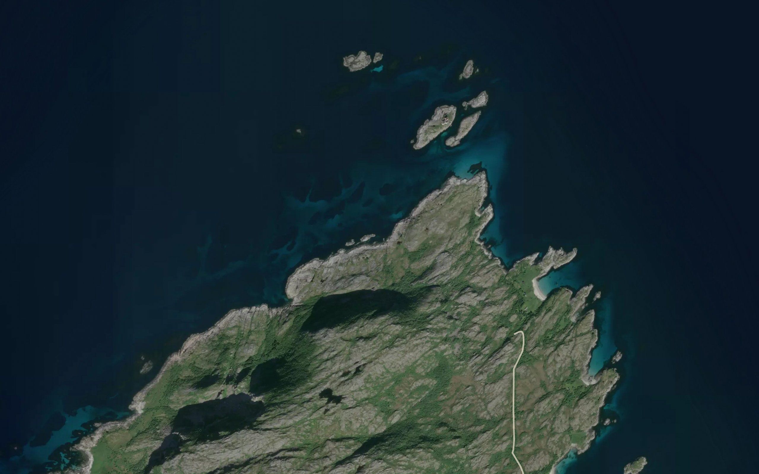 Buskevika
