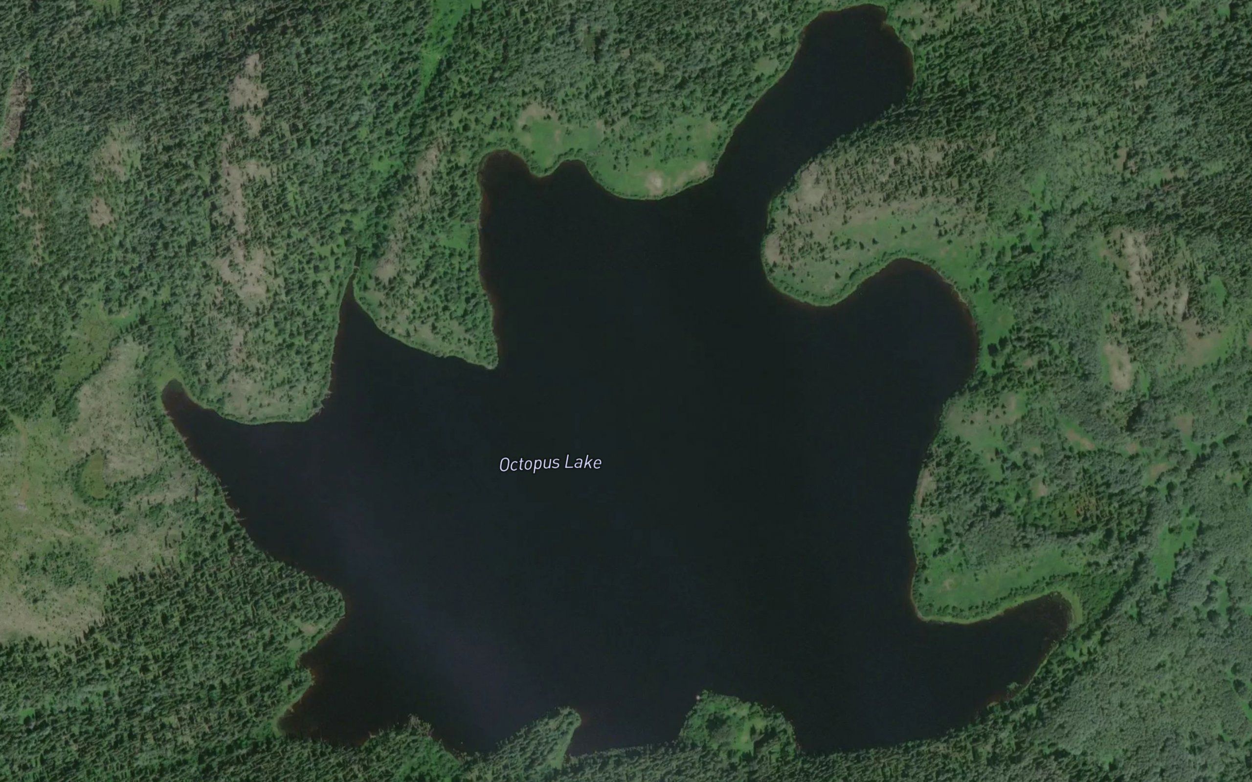 Octopus Lake