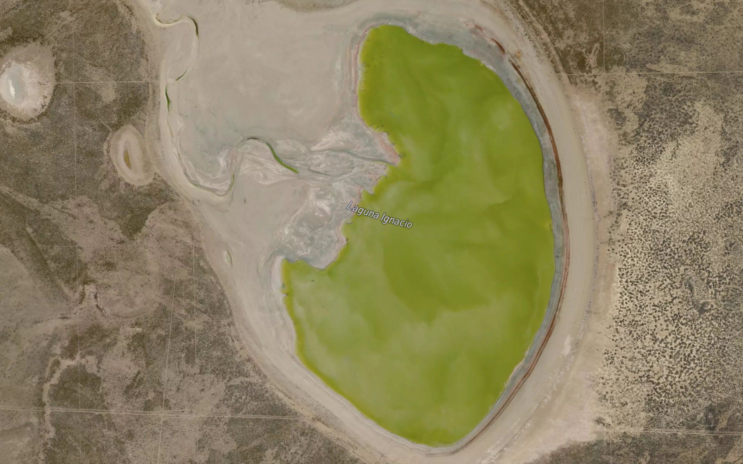 Laguna Ignacio