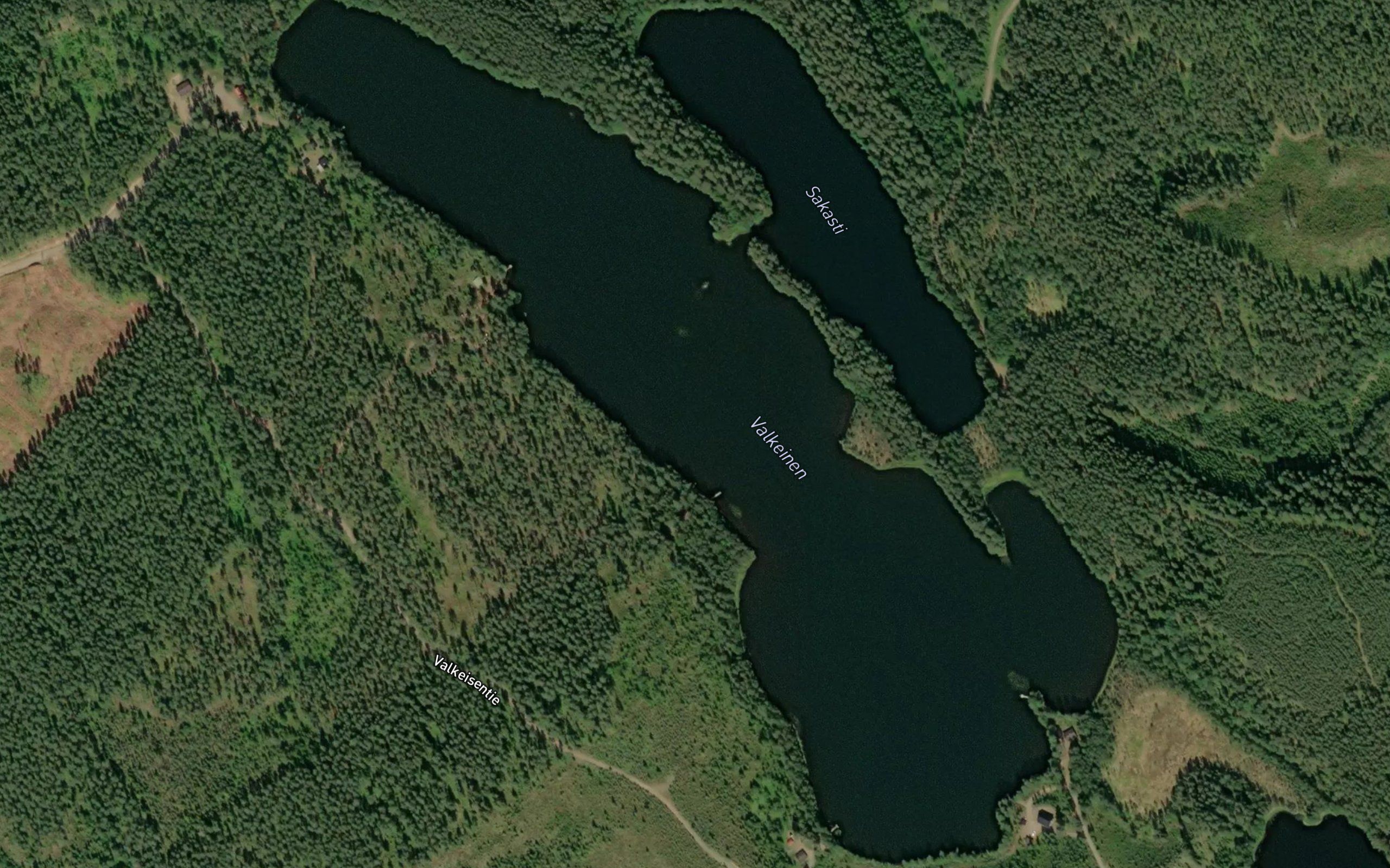 Valkeinen
