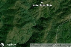 Laurel Mountain Branch