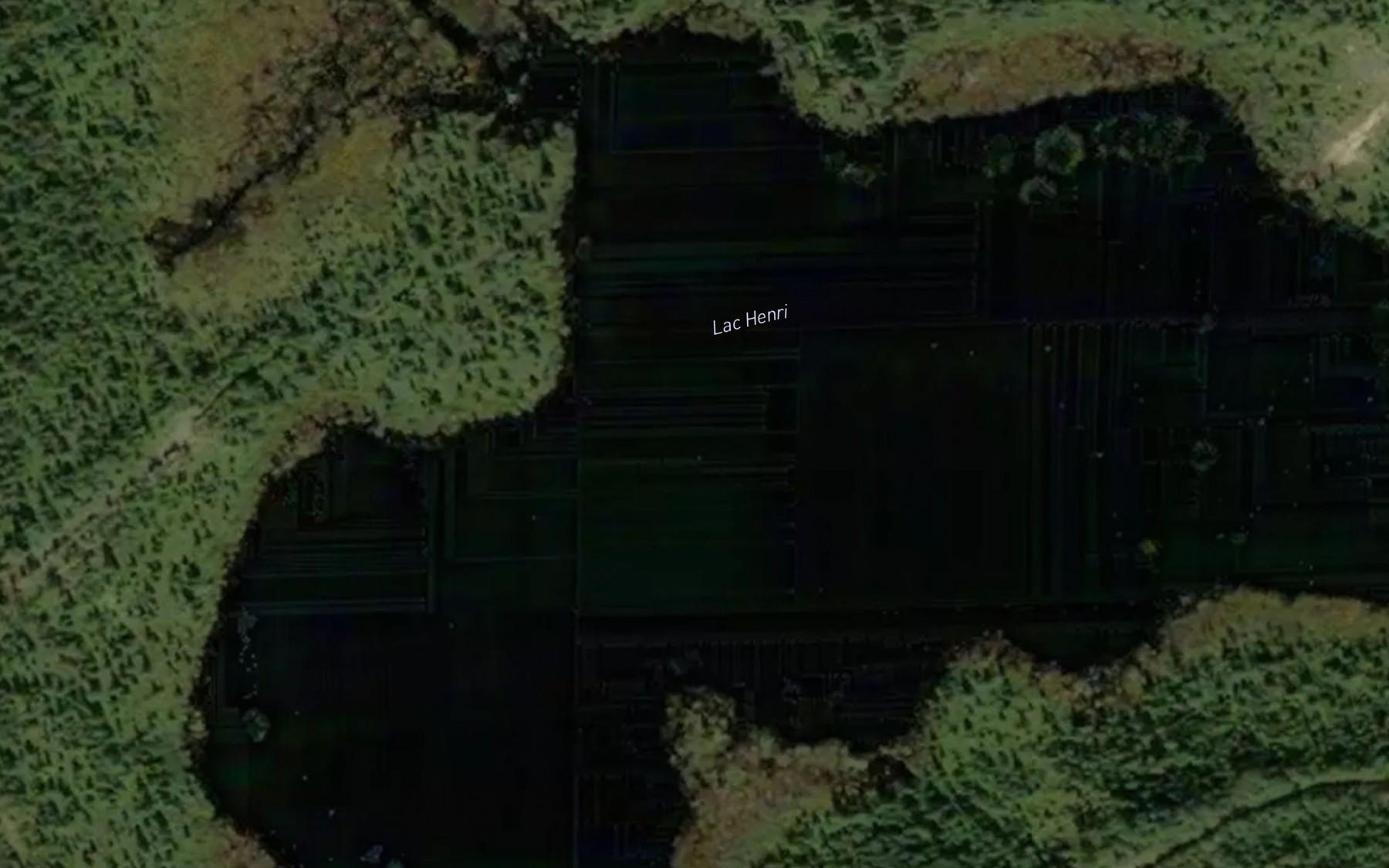 Satellite map of the Lac Henri
