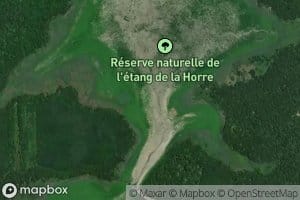 Etang de la Horre