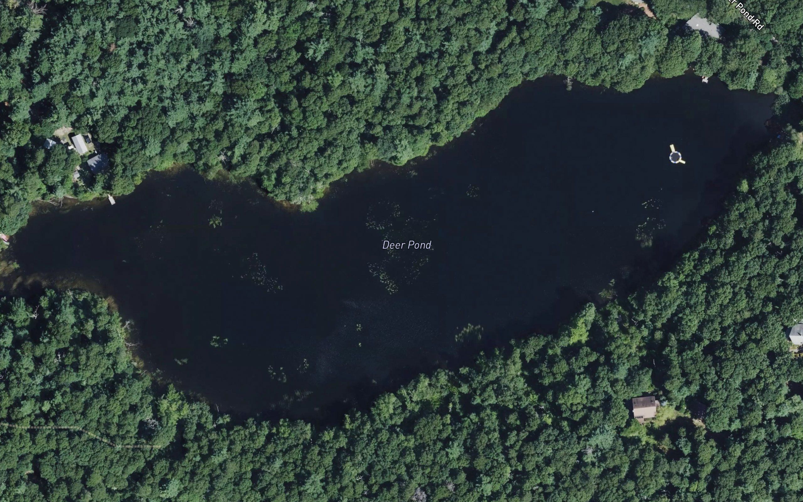 Deer Pond
