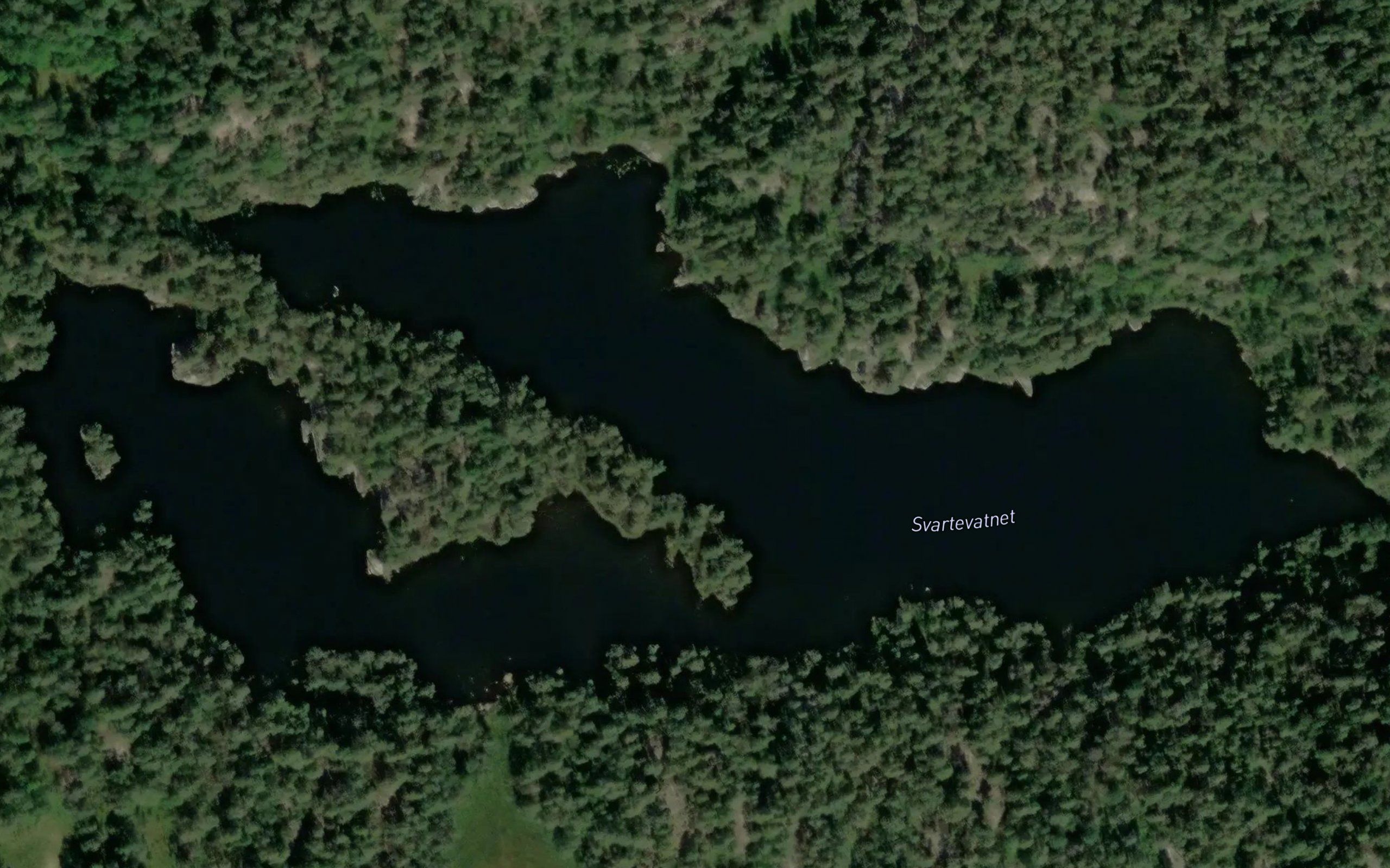 Svartevatnet