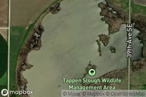 Tappen Slough