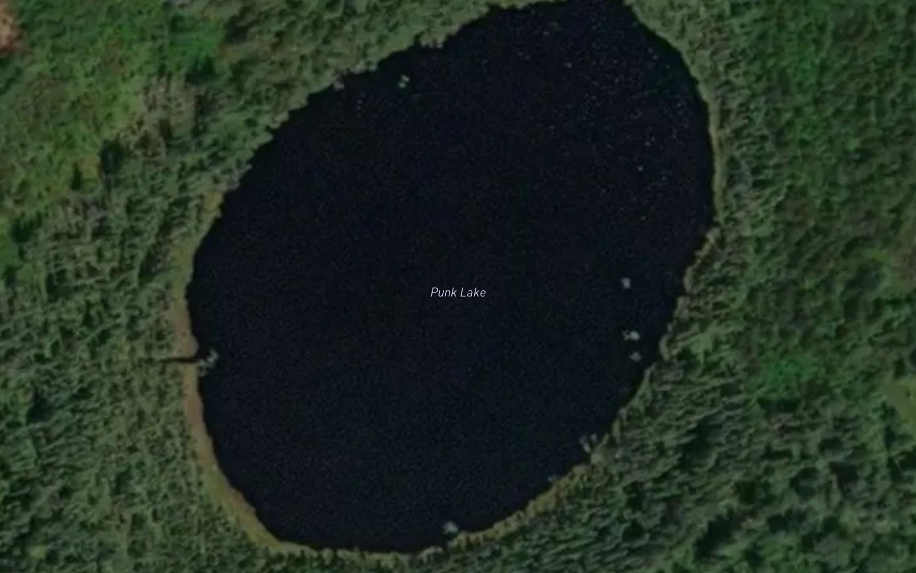 Satellite map of the Punk Lake