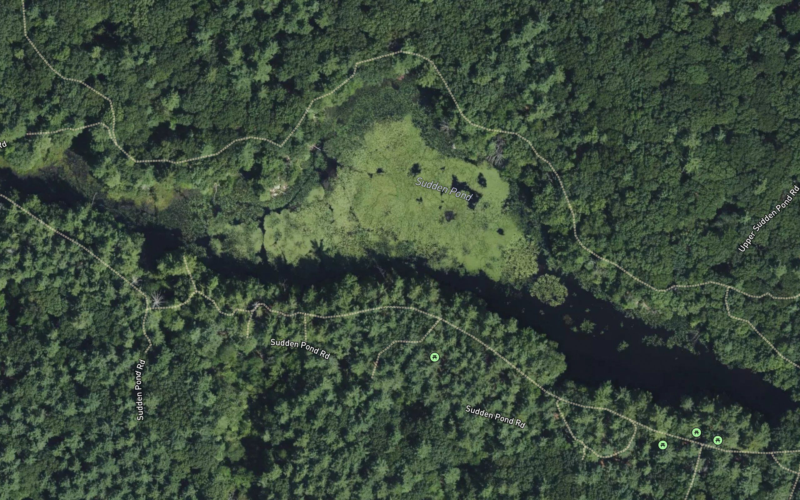 Sudden Pond