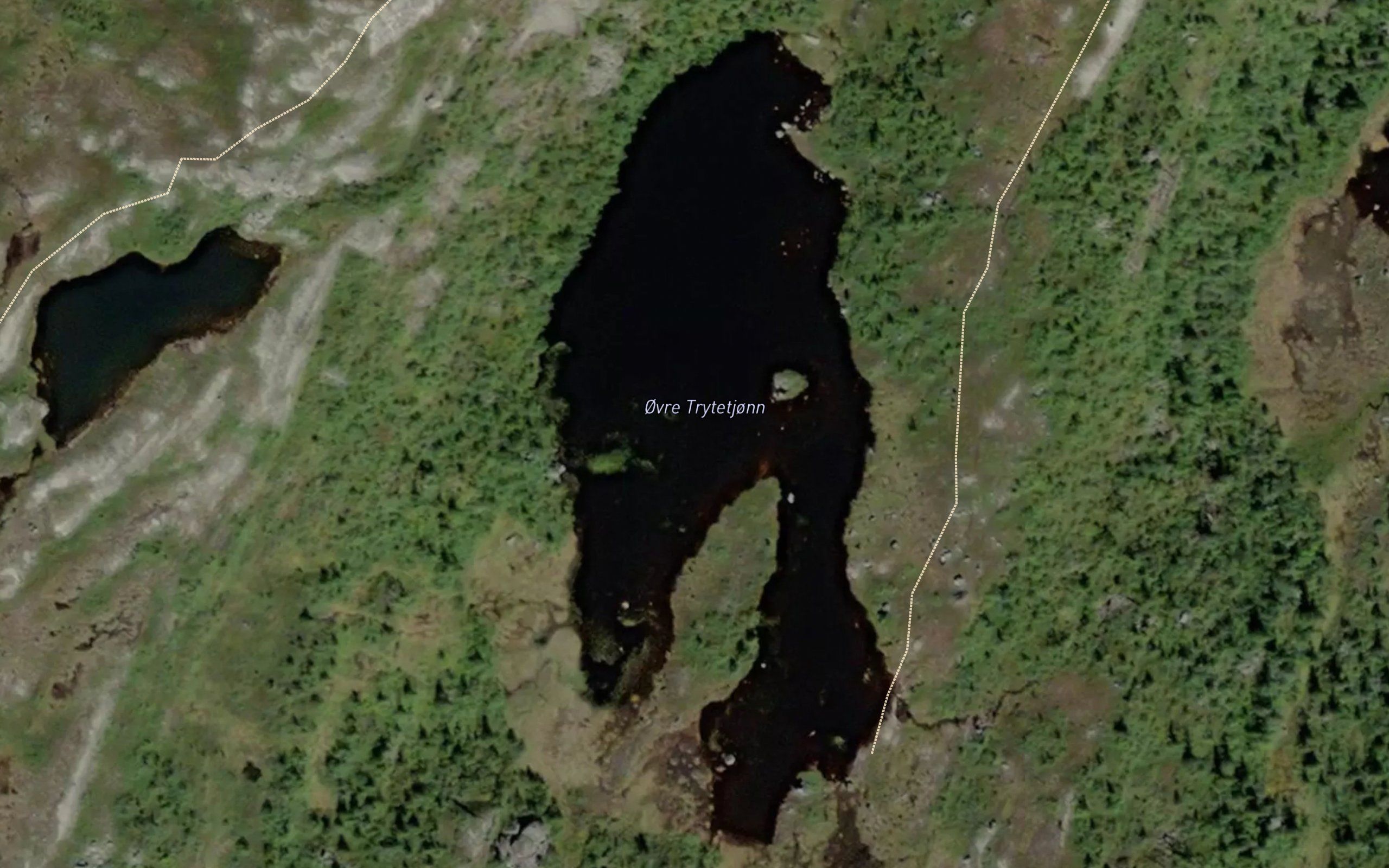 Trytetjorn