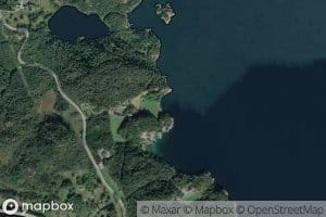 Gronevik