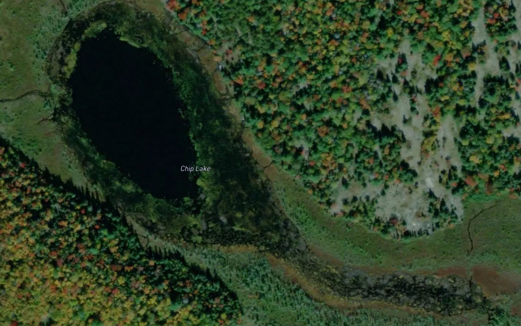 Satellite map of the Chip Lake