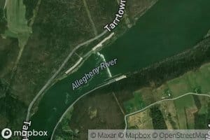 Allegheny River Pool Eight