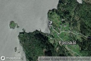 Fjellskalviki