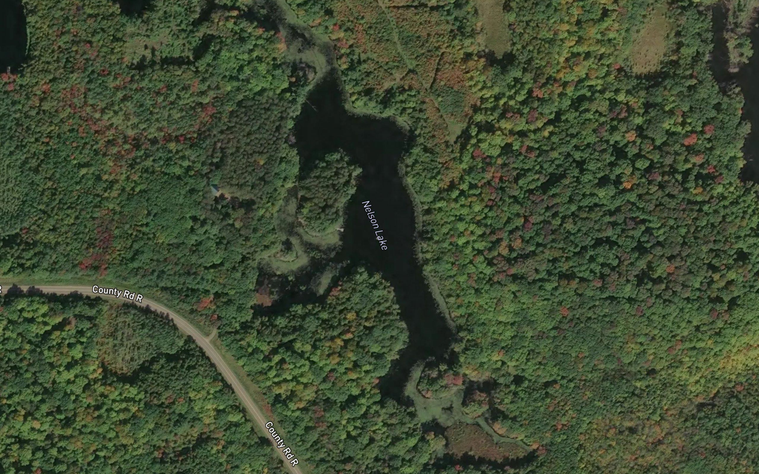 Nelson Lake