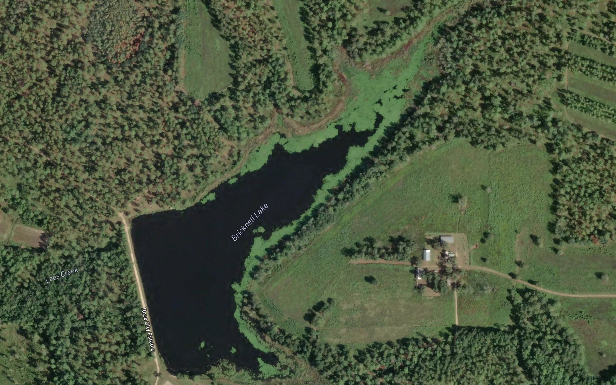 Bricknell Lake
