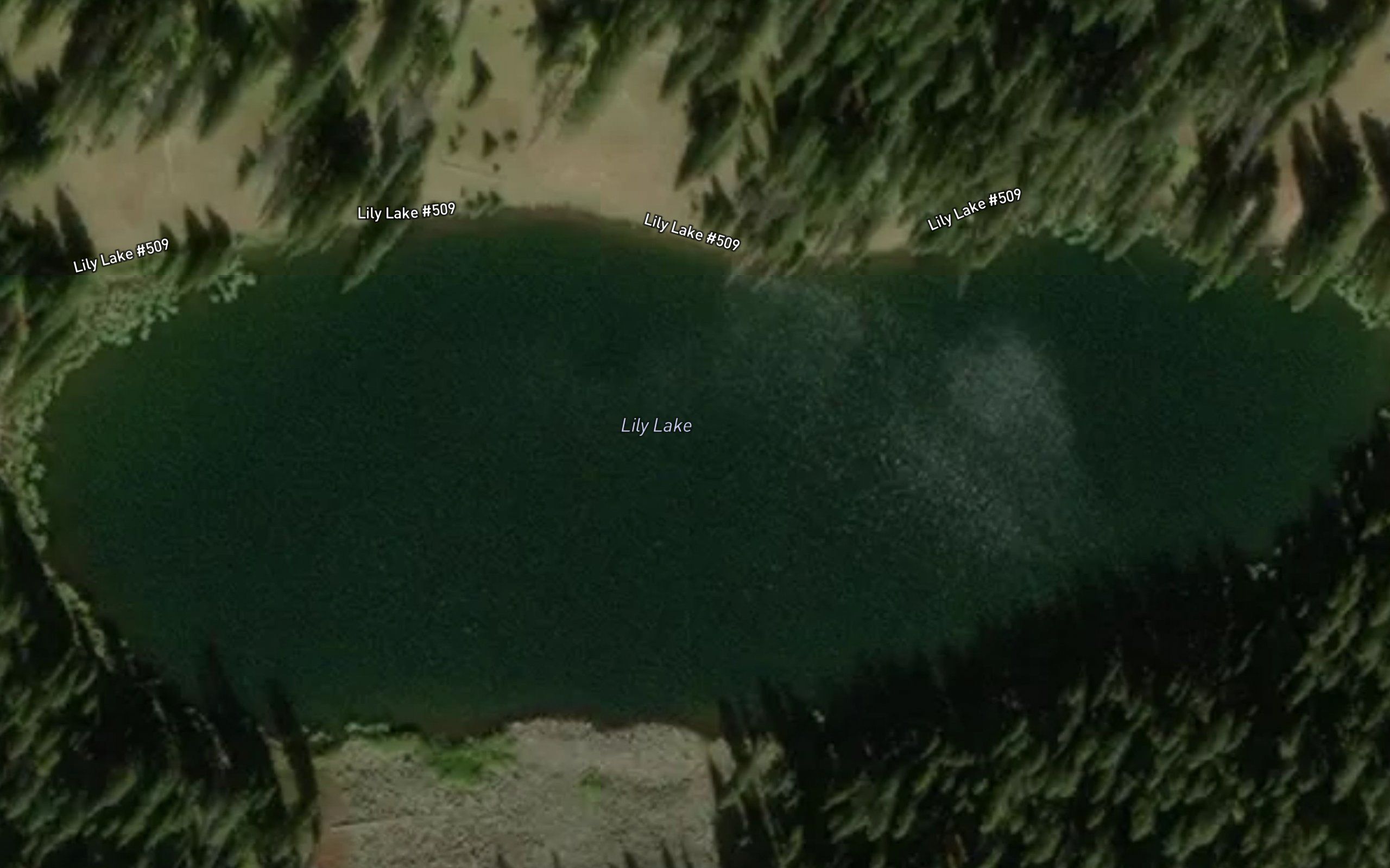 Lily Lake