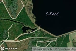 C-Pond