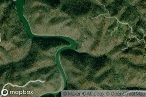 Tarpon Branch