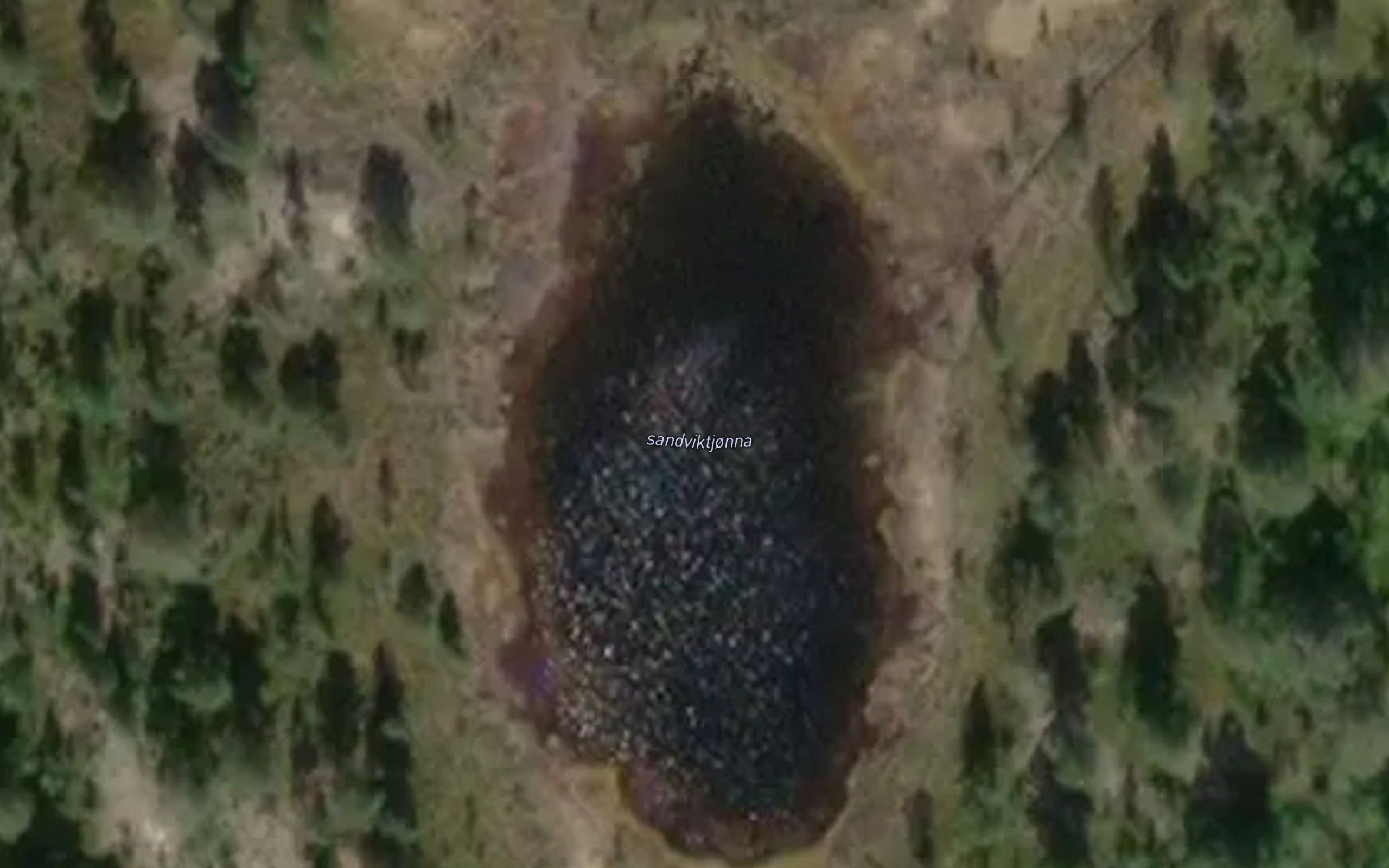 Fisktjorna