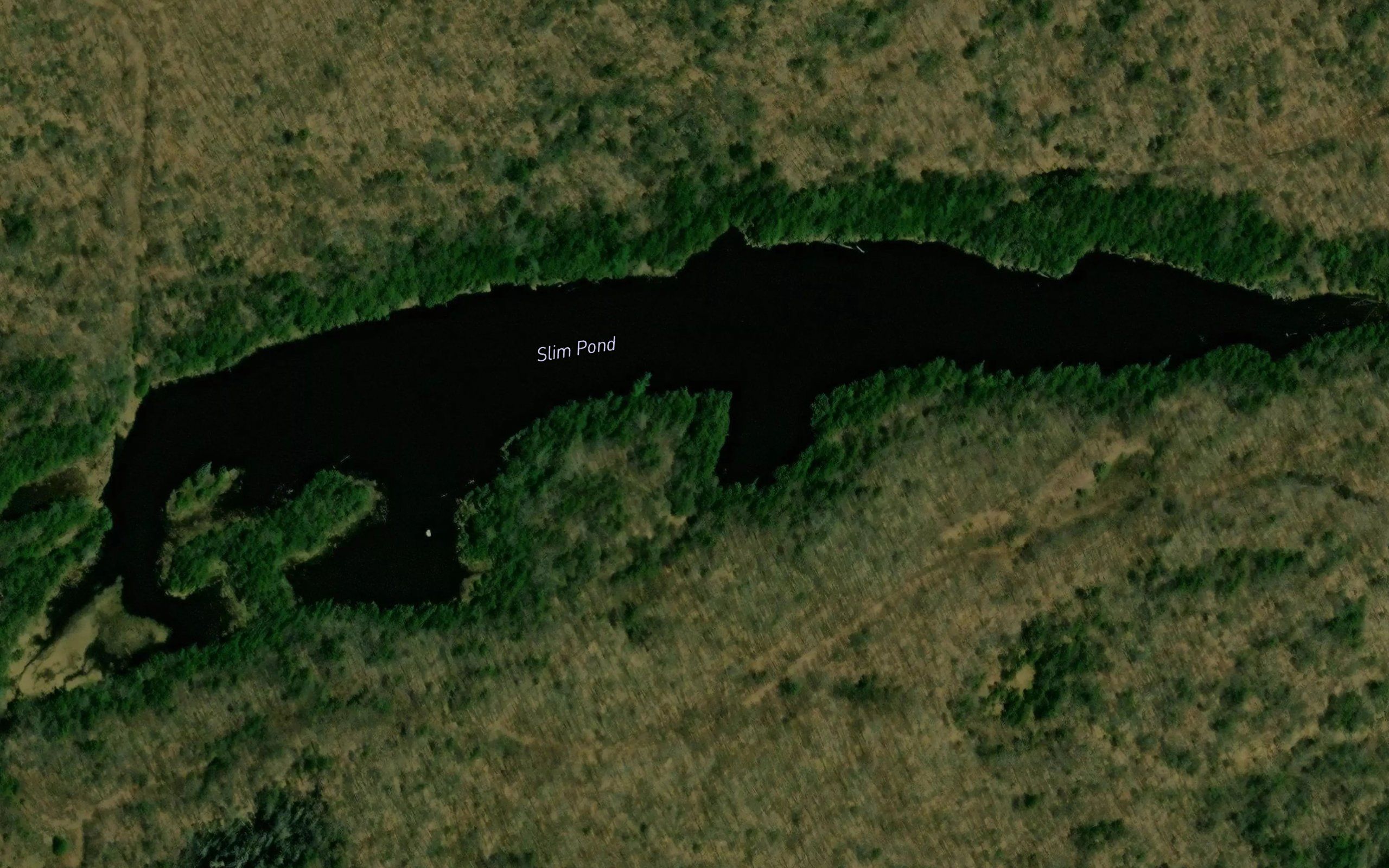 Slim Pond