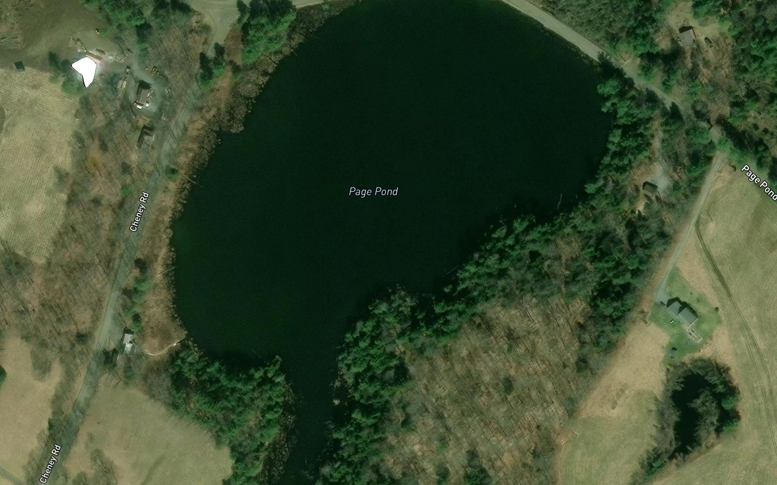 Page Pond