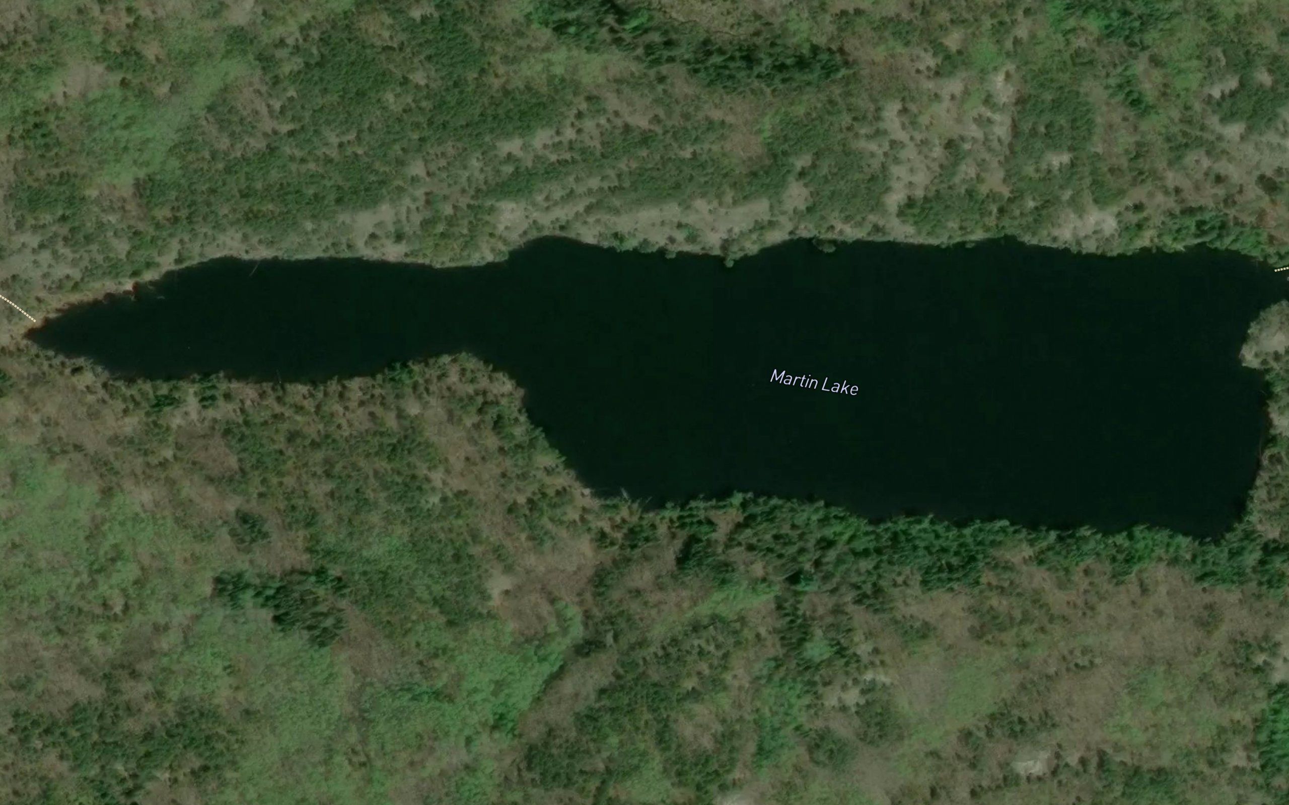 Martin Lake