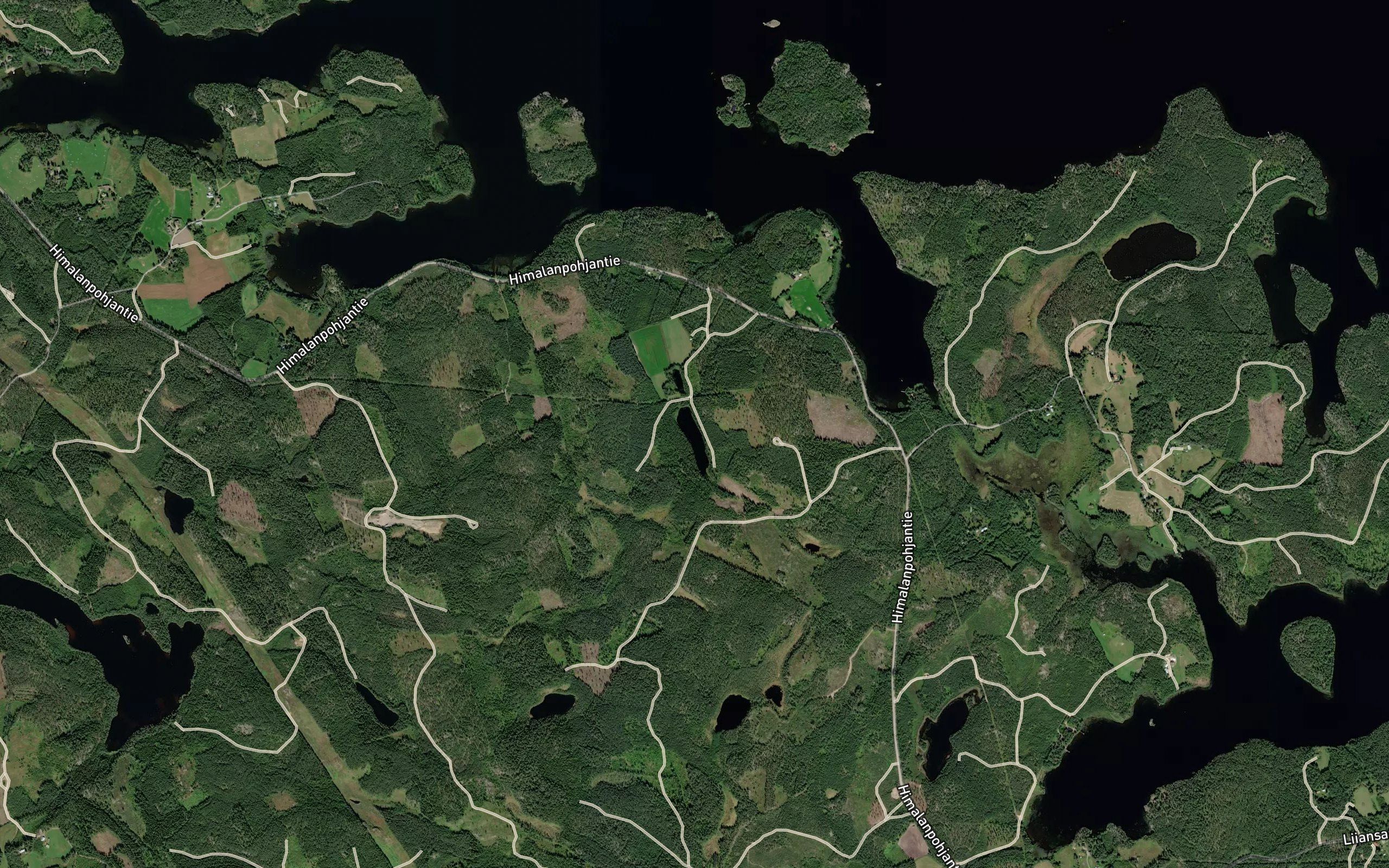 Tuomilammit
