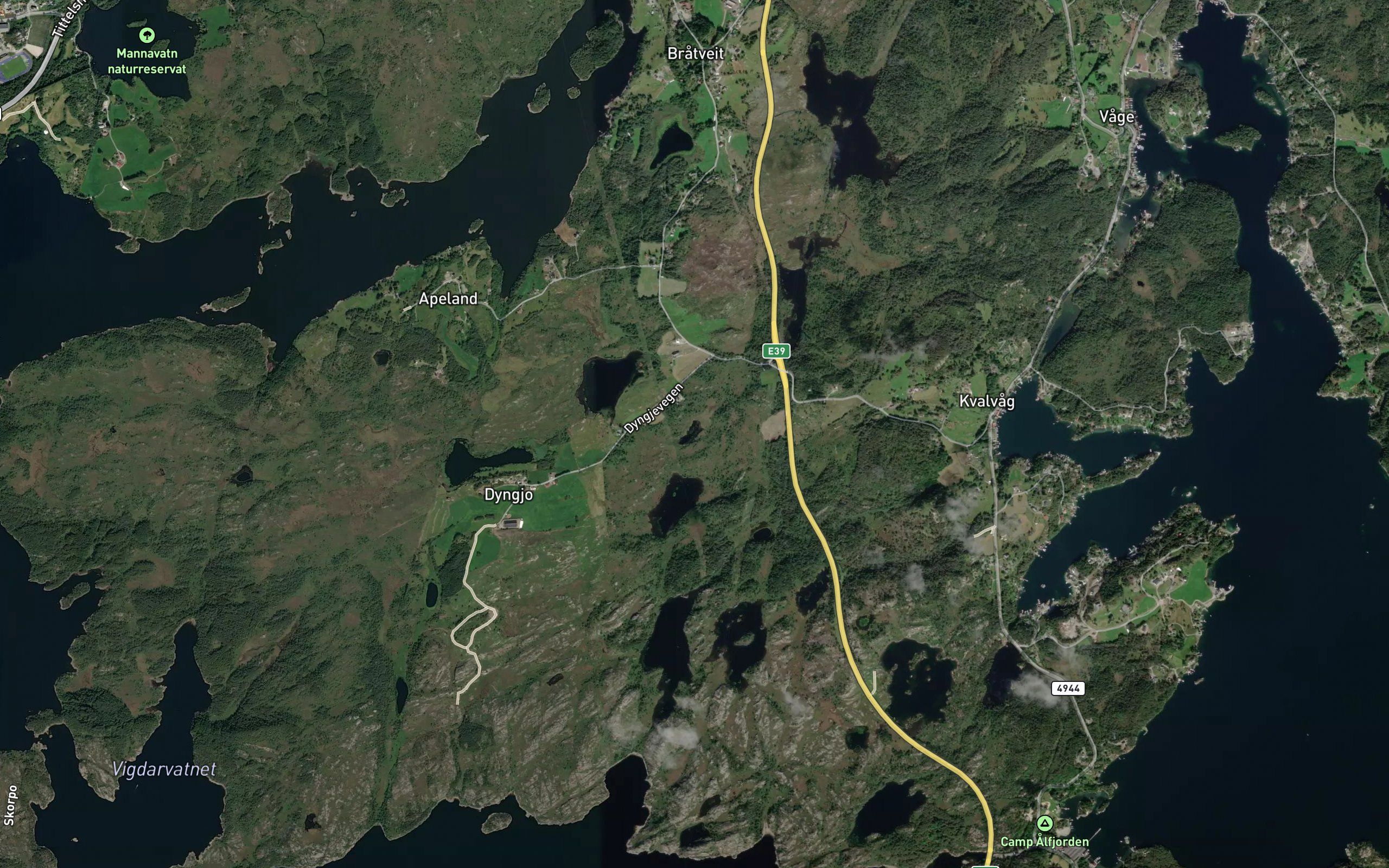 Skjortetjorna