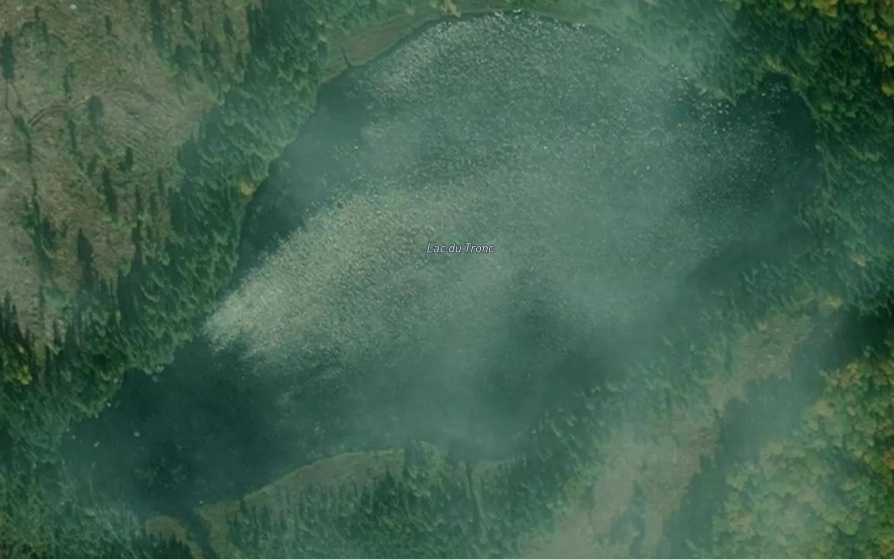 Satellite map of the Lac du Tronc