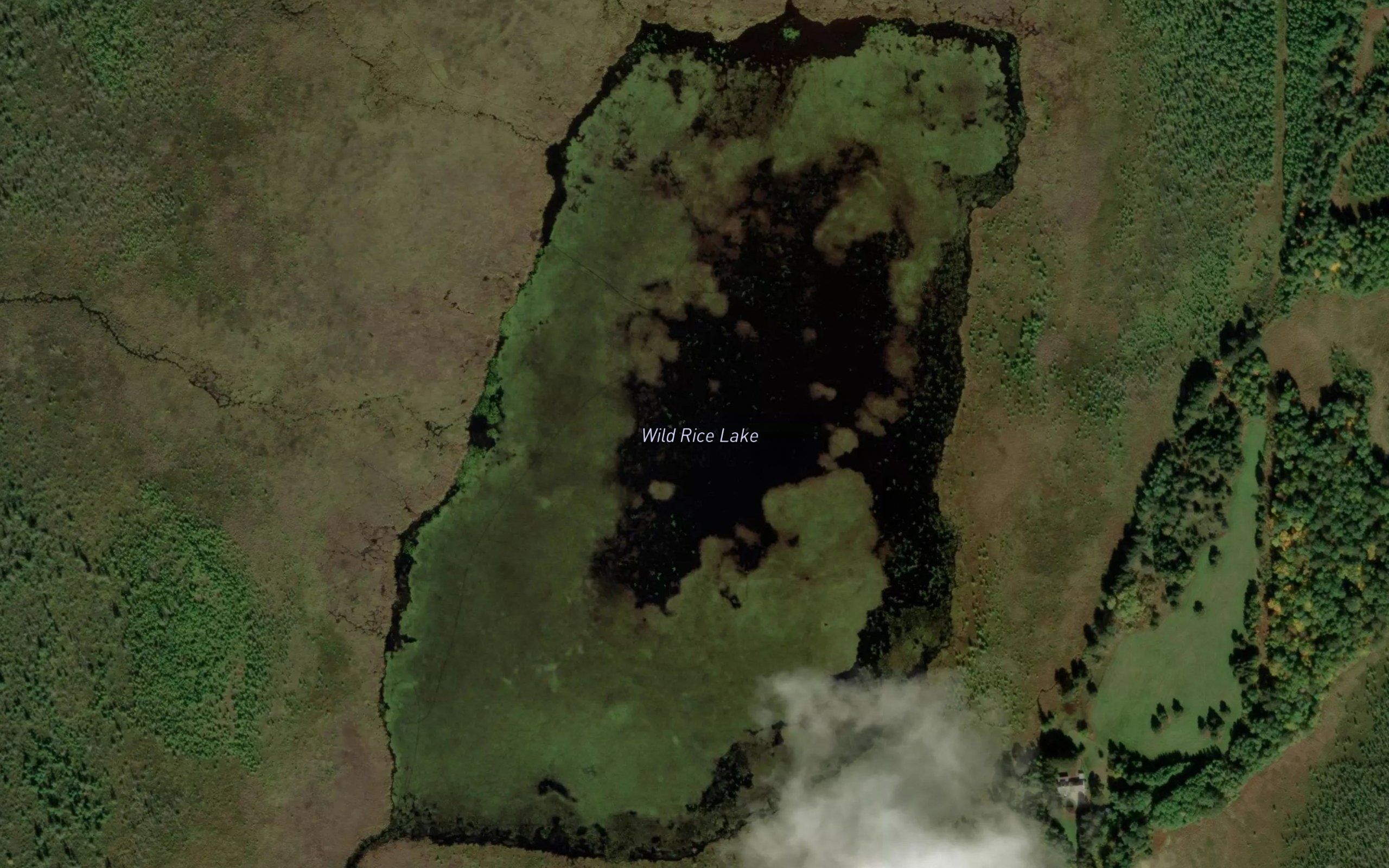 Wild Rice Lake