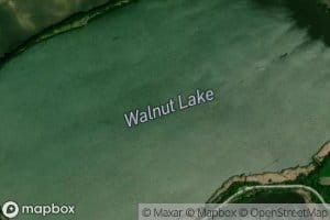 Walnut Lake