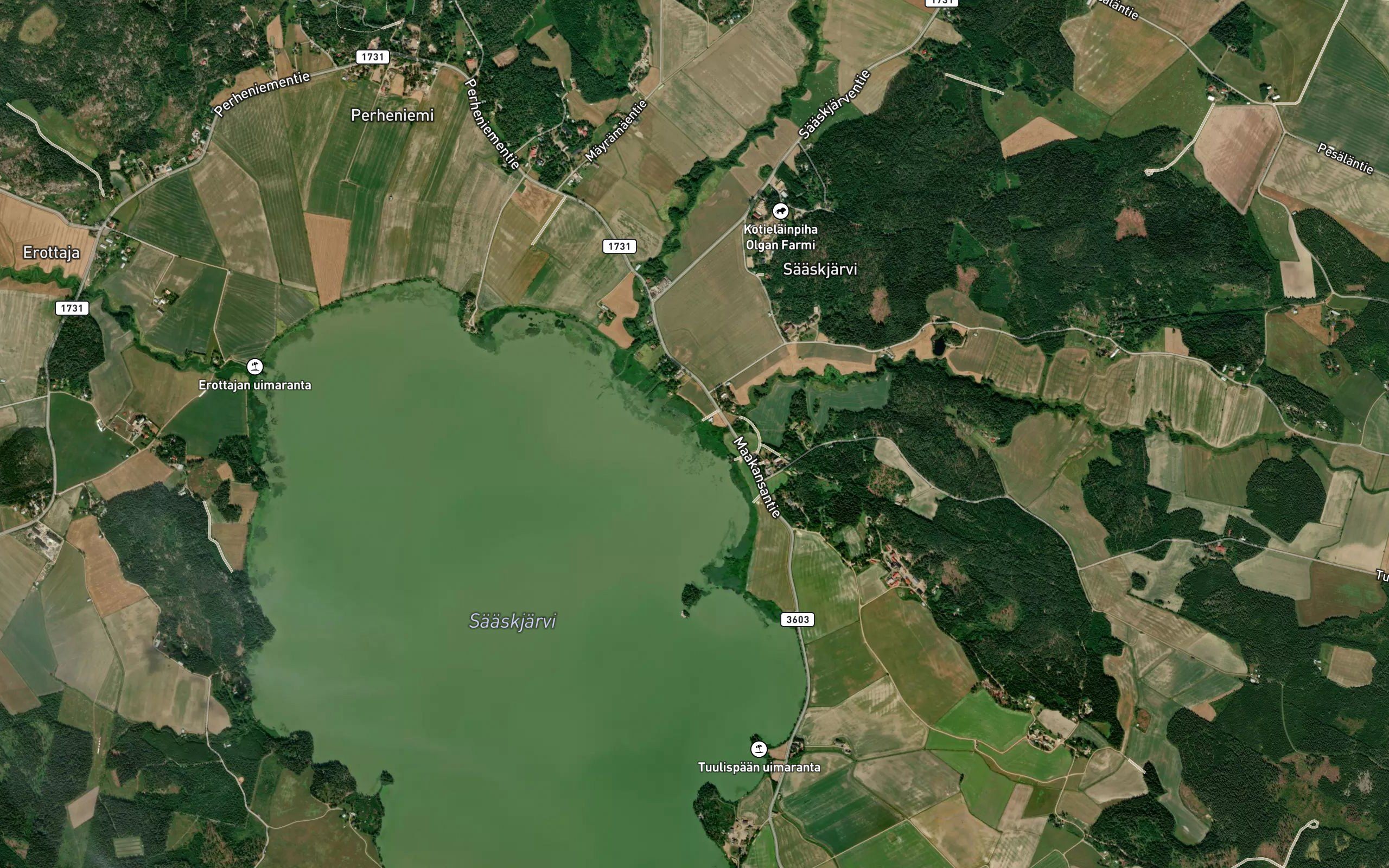 Kauhalanjoki