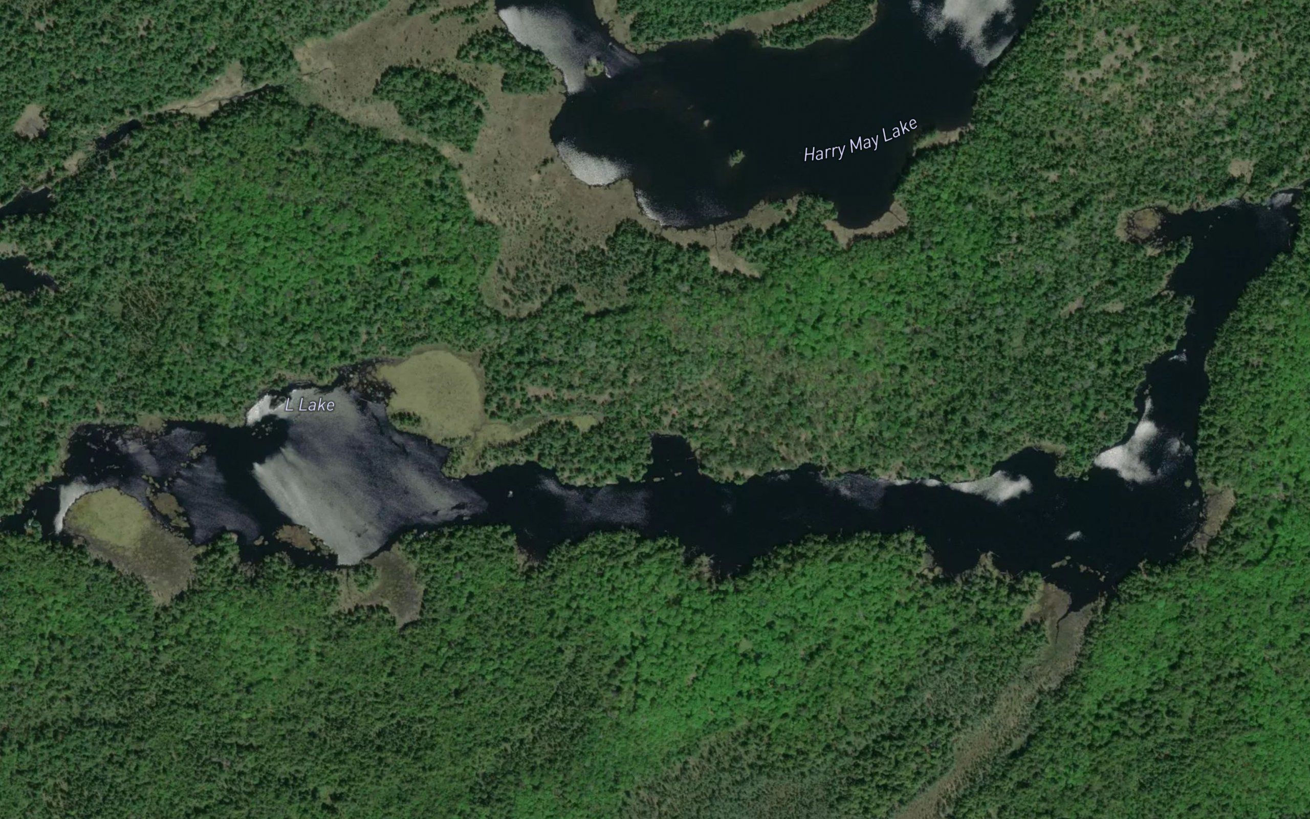L Lake