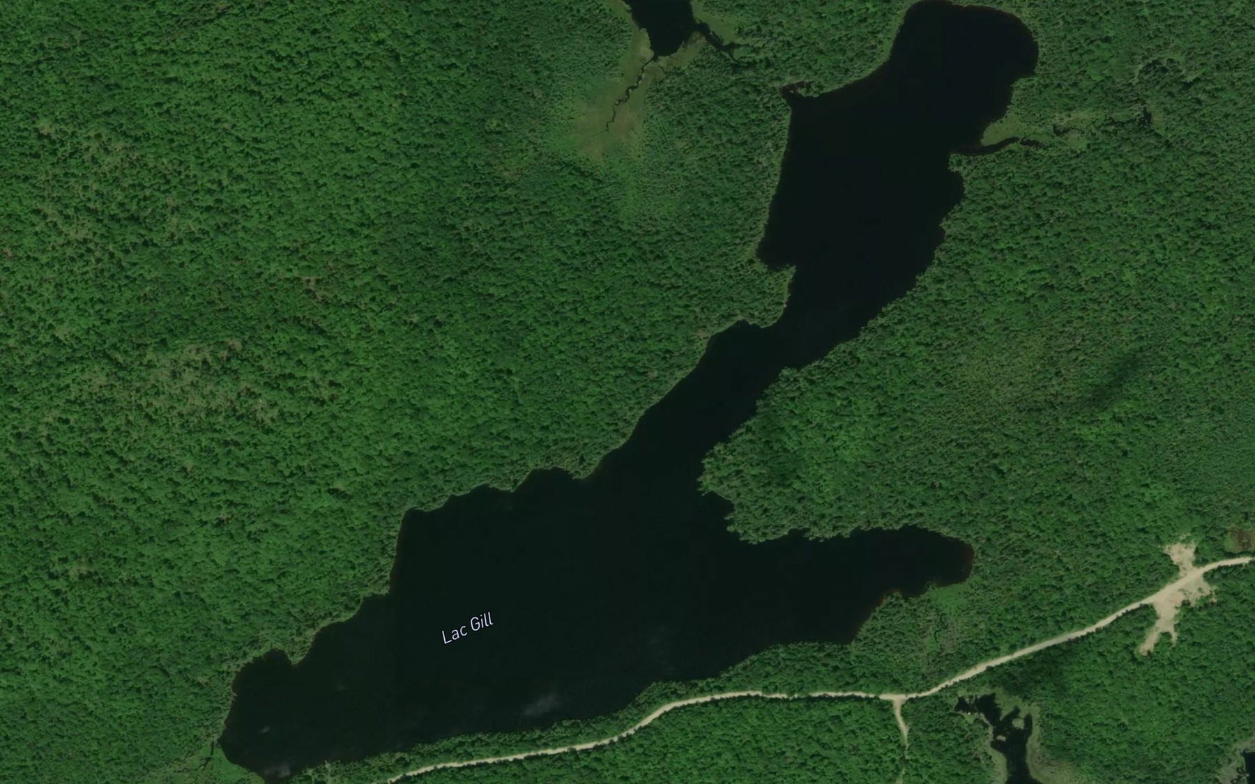Satellite map of the Lac Gill