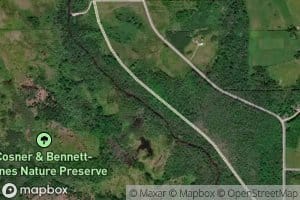 Bennett Creek