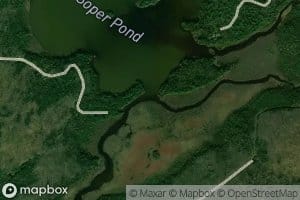 South Branch Soper Brook