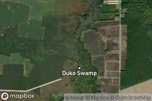 Middle Swamp