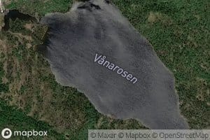 Vanarossen