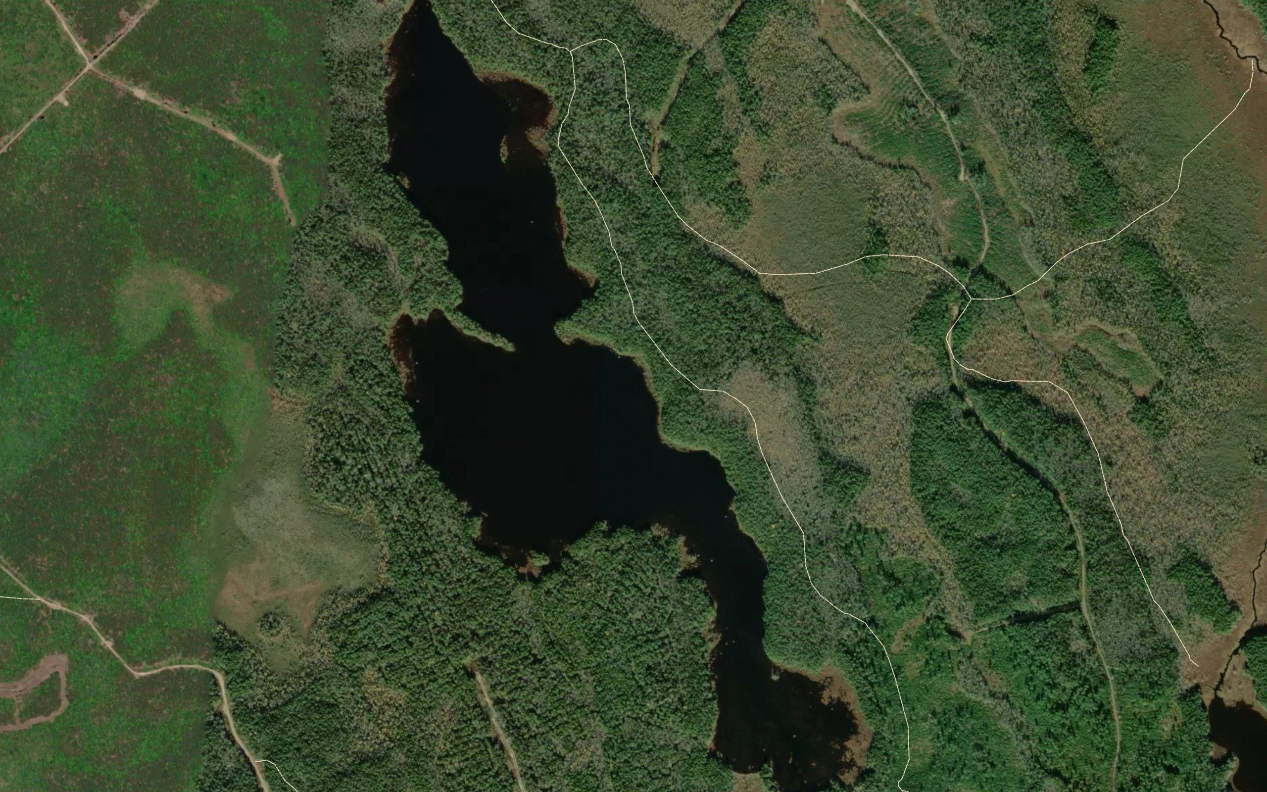 Lower Porcupine Lake