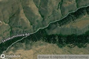 South Fork Skookumchuck Creek