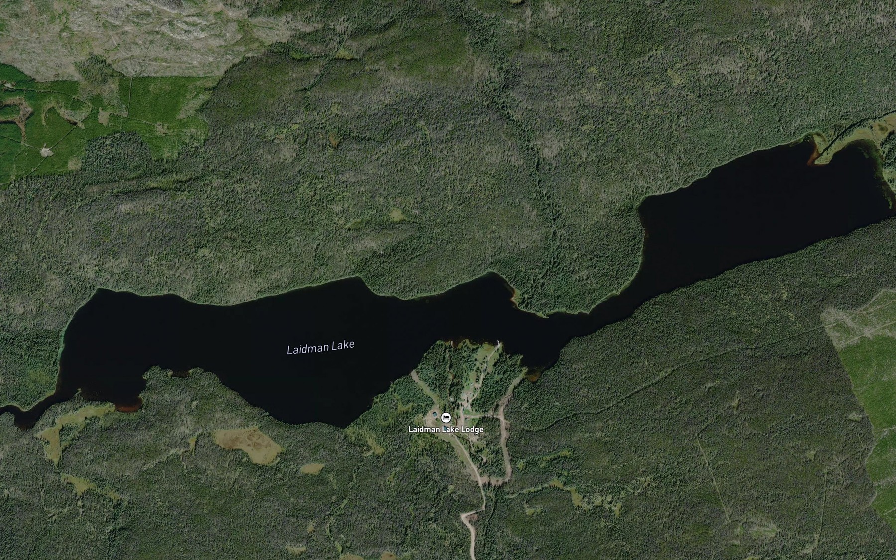 Satellite map of the Laidman Lake