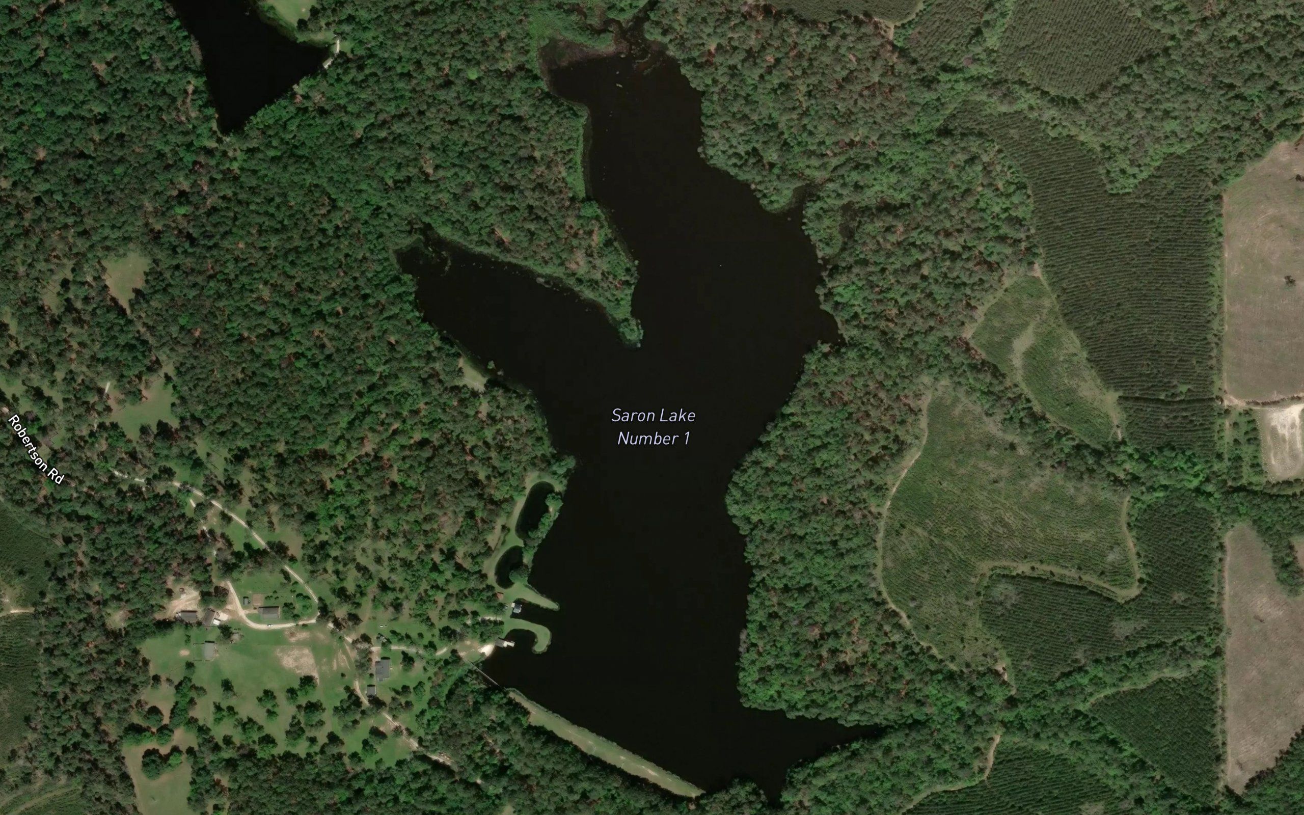 Saron Lake Number 1