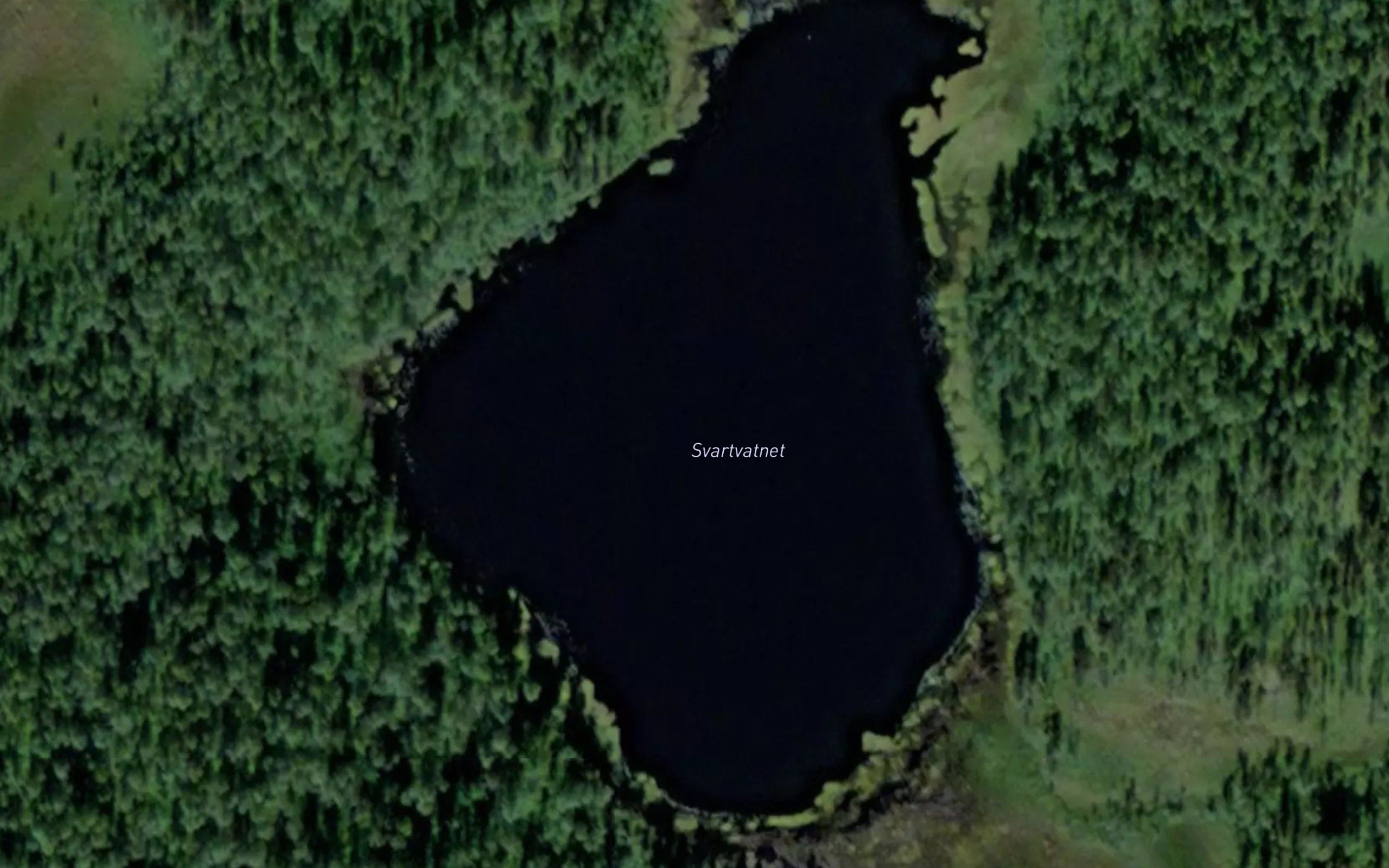 Svartevatnet