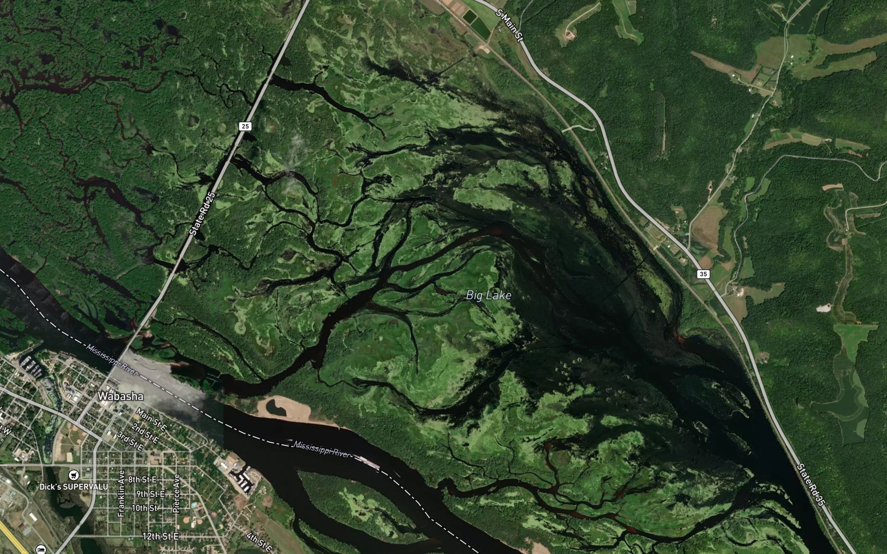 Satellite map of the Big Lake