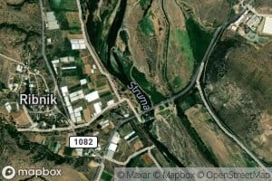 Ribnik
